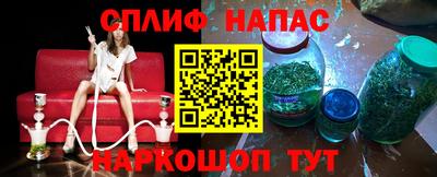 ECSTASY Гай