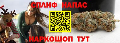 ECSTASY Гай