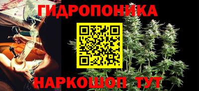 сатива Гагарин