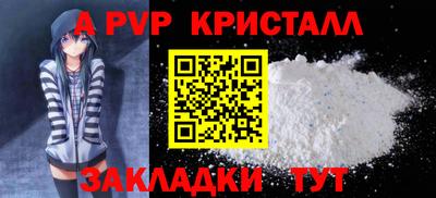 ECSTASY Гай