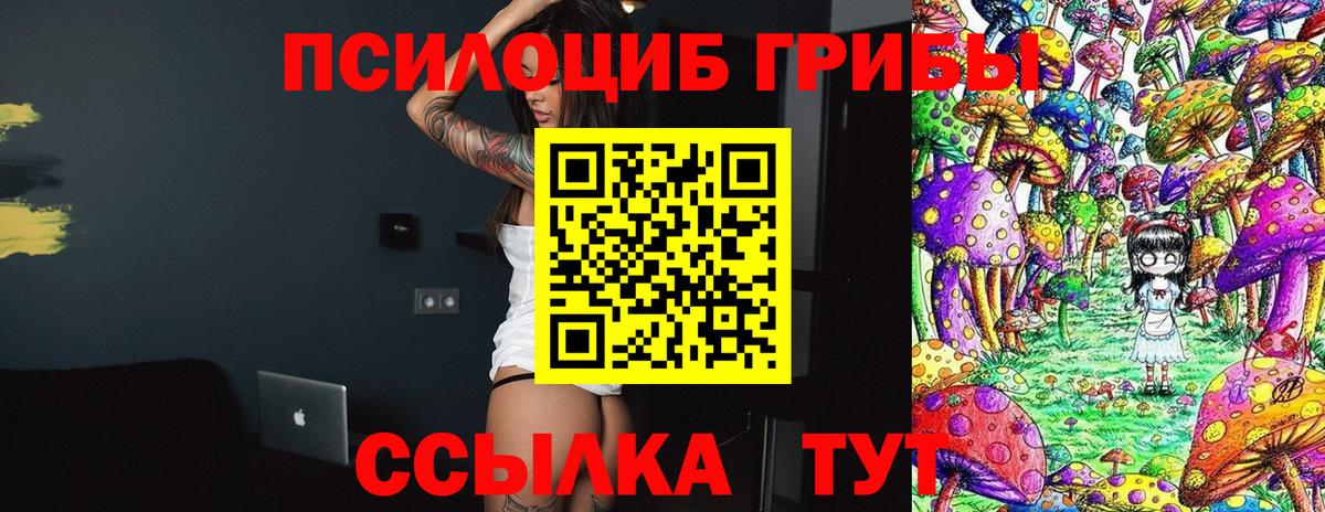 Галлюциногенные грибы GOLDEN TEACHER  Галлюциногенные грибы мицелий  сколько стоит  Пугачёв  Вход с VPN 